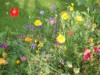 Bild 20 - Ude