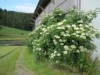 Bild 23