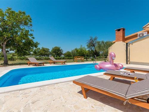 Sommerhus - 8 personer -  - Polaca - Zadar-Polaca - 23423 - Polaca