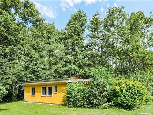 Feriehus / leilighet - 4 personer -  - Am See Nr. - 19417 - Klein Labenz