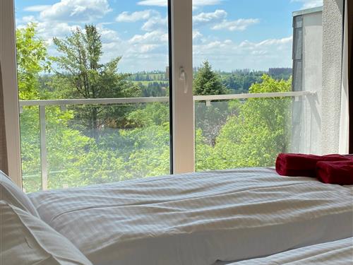 Ferielejlighed - 2 personer -  - Kleine Bergstraße - 38700 - Braunlage