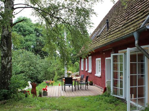 Holiday apartment - 4 persons -  - Grüner Winkel - 18236 - Carinerland