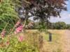 Image 14
