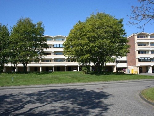 Ferienwohnung - 4 Personen -  - Osterwisch - 24217 - Schönberg