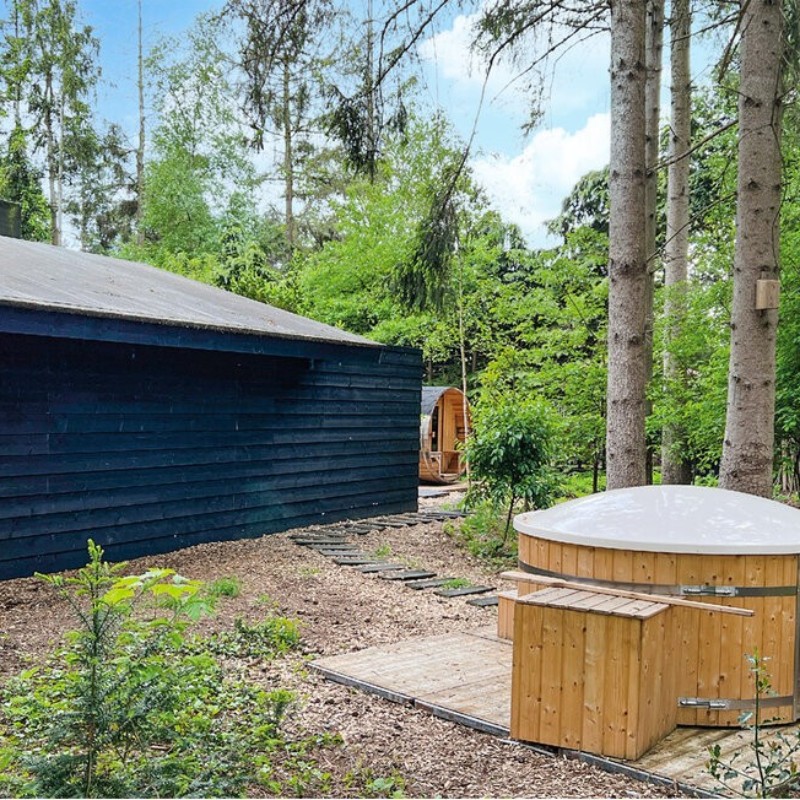 Sommerhus - 4 personer -  - Elfde Wijk - 7797 HH - Rheezerveen