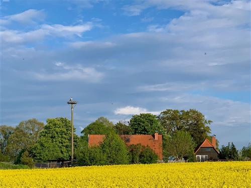 Ferielejlighed - 7 personer -  - Ausbau - 17194 - Grabowhöfe
