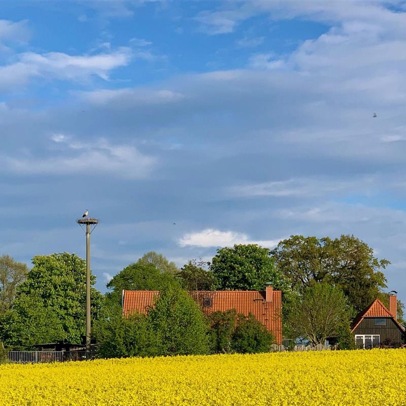 Ferielejlighed - 7 personer -  - Ausbau - 17194 - Grabowhöfe