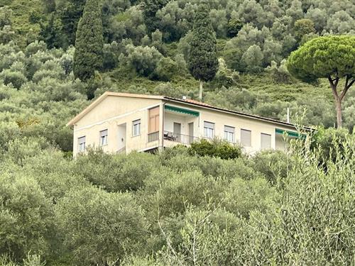 Holiday home - 6 persons -  - Via della Collina - 55041 - Capezzano Pianore