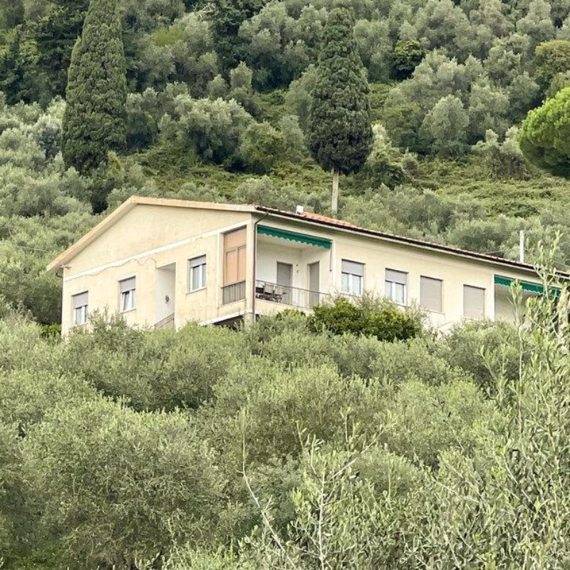 Sommerhus - 6 personer -  - Via della Collina - 55041 - Capezzano Pianore