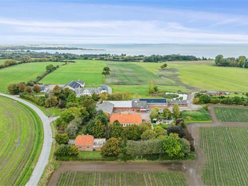 Ferienhaus - 18 Personen -  - Tamdrup Strandvej - 6100 - Haderslev