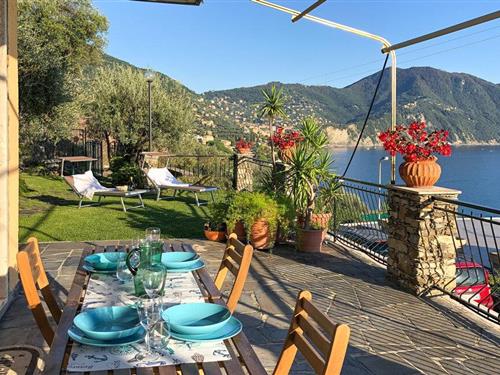 Ferieleilighet - 5 personer -  - Via Montefiorito - 16036 - Recco