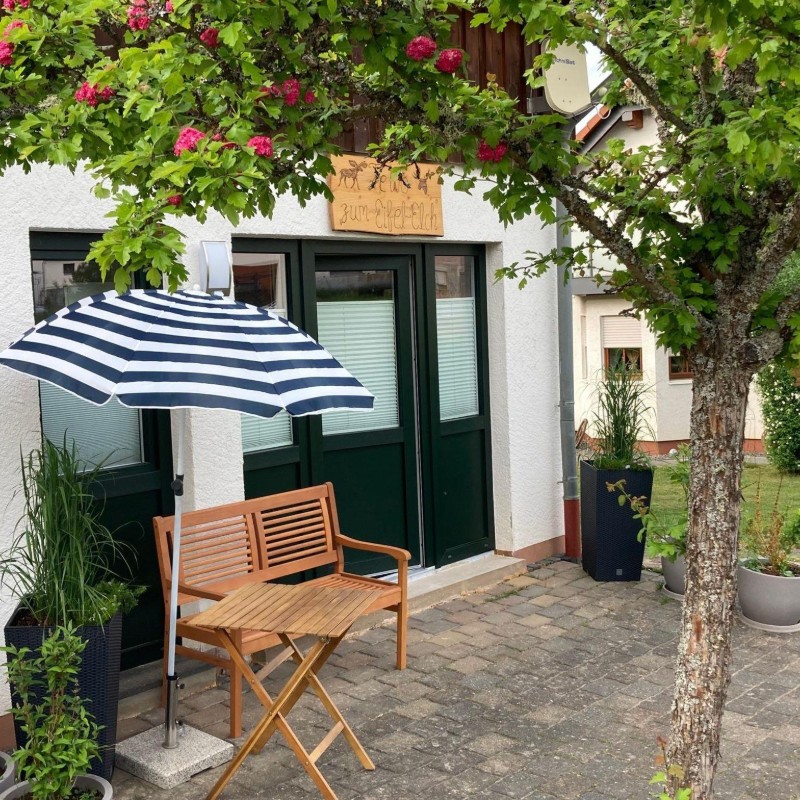 Ferielejlighed - 2 personer -  - Rotwildstr. 4 c - 54550 - Daun / Pützborn