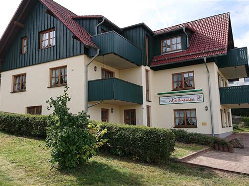 Ferieleilighet - 3 personer -  - Brockenblick - 38875 - Sorge