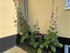 Bild 16