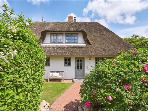 Feriehus - 4 personer -  - Bernhard-Farwer-Straat - 25938 - Nieblum