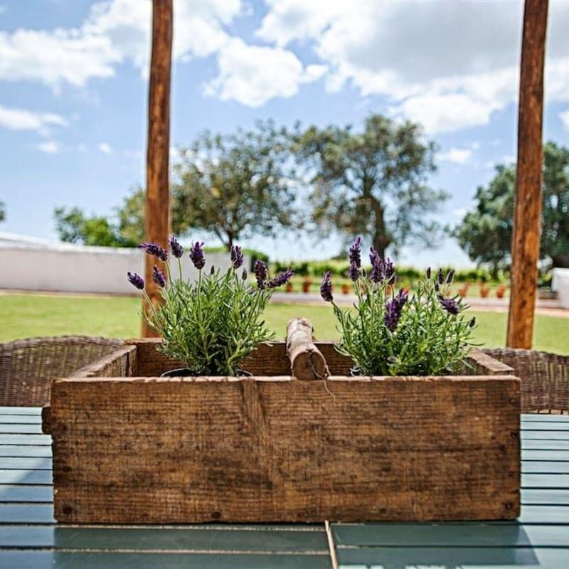 Sommerhus - 11 personer -  - Silves - zip code