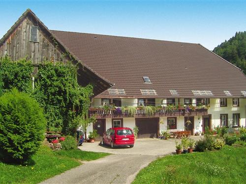 Sommerhus - 4 personer -  - 78132 - Hornberg