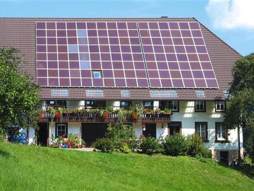 Ferieleilighet - 4 personer -  - 78132 - Hornberg