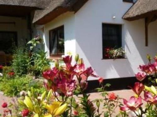 Holiday apartment - 2 persons -  - Ahrenshoop - 18347