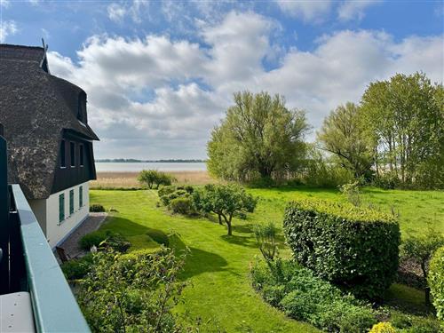 Holiday apartment - 3 persons -  - Bauernreihe - 18375 - Erholungsort Wieck