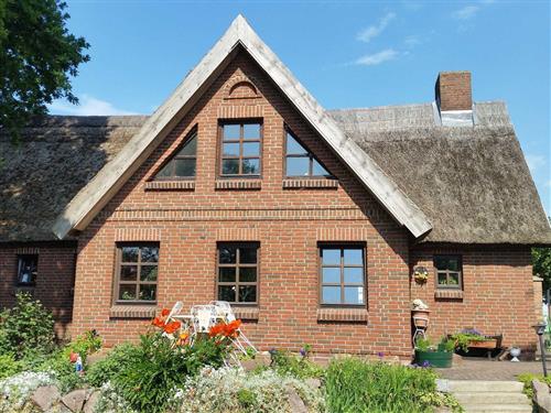 Holiday home - 7 persons -  - Peeneweg - 17406 - Rankwitz