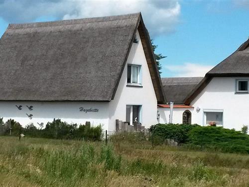 Sommerhus - 4 personer -  - Feldweg - 18375 - Wieck A. Darß