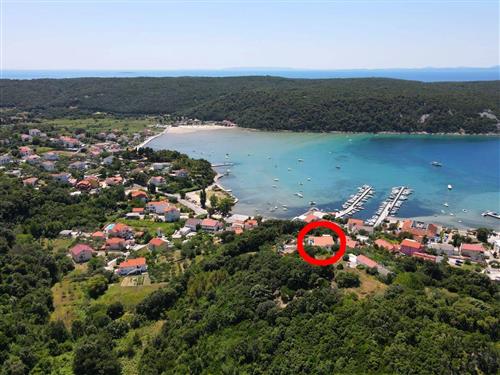 Holiday apartment - 5 persons -  - Kampor 385, Kampor - 51280 - Rab