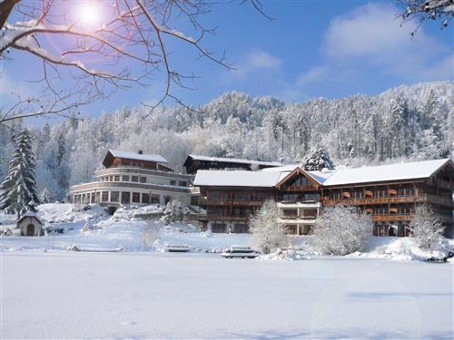 Feriehus / leilighet - 1 person -  - Tatzlewurm 1 - 83080 Oberaudorf - 83735 - Bayrischzell