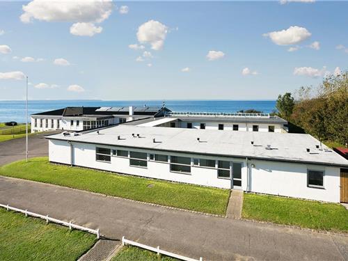 Sommerhus - 58 personer -  - Lille Brogårdsvej - Bro Strand - 5464 - Brenderup