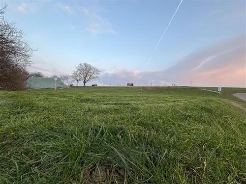 Ferielejlighed - 3 personer -  - Fronhofen - 54483 - Kleinich