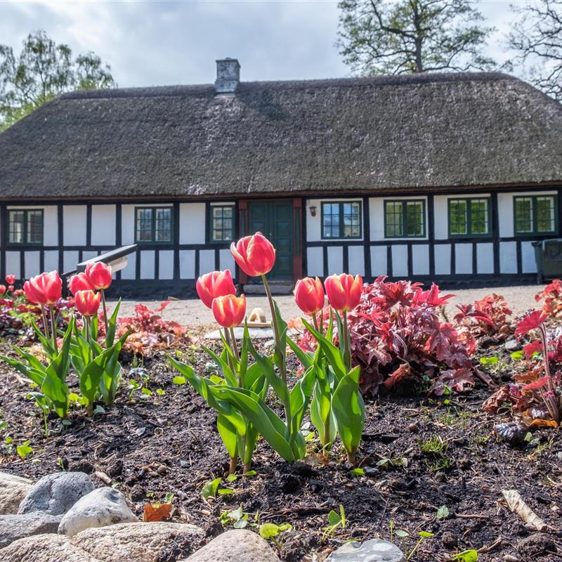 Ferienhaus - 10 Personen -  - Molsvej 130 A - Femmöller - 8400 - Ebeltoft