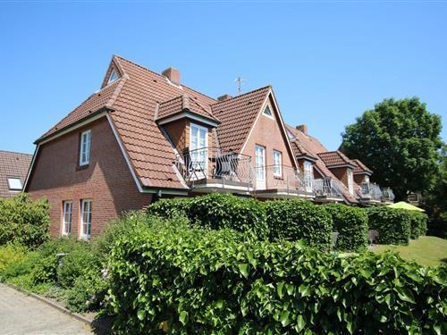 Holiday Home/Apartment - 2 persons -  - Lüttmarsch - 25938 - Wyk Auf Föhr