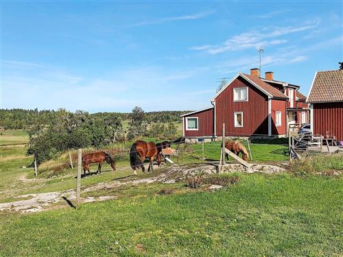 Holiday Home/Apartment - 9 persons -  - Svärdbro - Trosa - 61199 - Tystberga