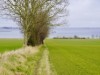 Image 16