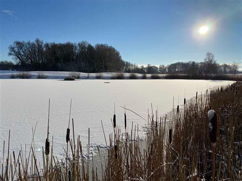 Ferielejlighed - 4 personer -  - Am Lorenweg - 17213 - Göhren-Lebbin
