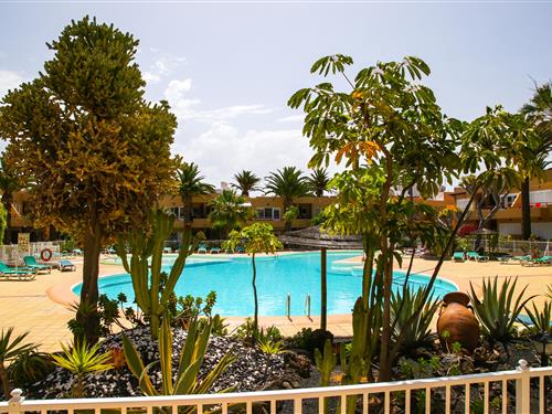 Ferienhaus - 2 Personen -  - Avenida Fuerteventura - 35660 - Corralejo