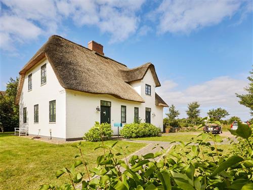 Feriehus - 3 personer -  - Triibergem - 25938 - Utersum