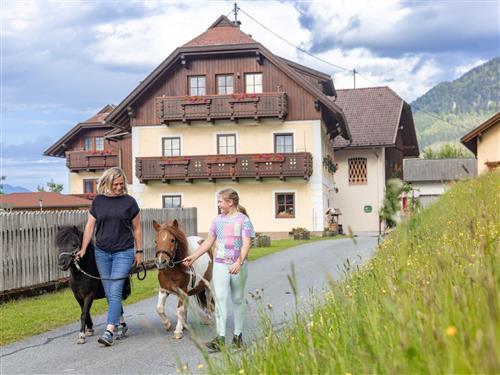 Sommerhus - 5 personer -  - Schlanitzen - 9631 - Tröpolach