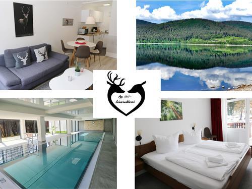 Ferieleilighet - 4 personer -  - Am Riesenbühl - 79859 - Schluchsee