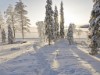 Bild 35 - Inde
