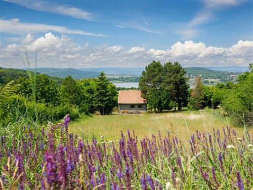 Semesterhus/Semesterlägenhet - 3 personer -  - Balatonfured/Tihany - 8237