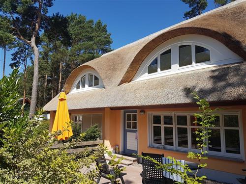 Ferielejlighed - 4 personer -  - Zeltplatzstr. - 17449 - Karlshagen