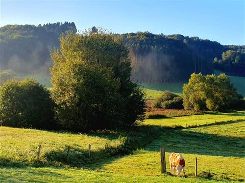 Ferieleilighet - 5 personer -  - Zwischen den Wegen - 66679 - Losheim Am See