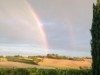 Image 26