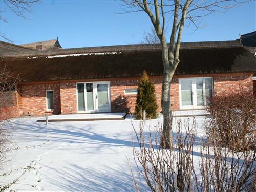 Sommerhus - 2 personer -  - Barnstorf Hufe - 18347 - Wustrow