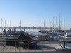 Bilde 26