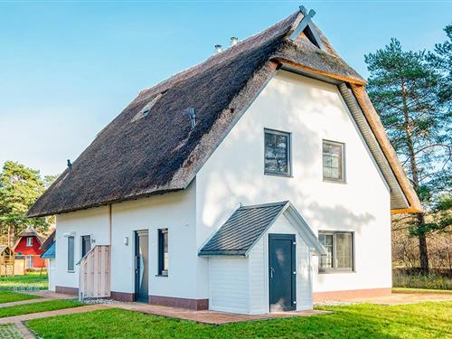 Feriehus / leilighet - 4 personer -  - Käptn´s Gasse - 17419 - Zirchow