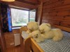 Bild 24
