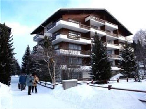 Ferienhaus - 2 Personen -  - Grosses Moos - 3906 - Saas-Fee