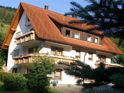 Ferieleilighet - 5 personer -  - Freyenhöfe - 72270 - Baiersbronn